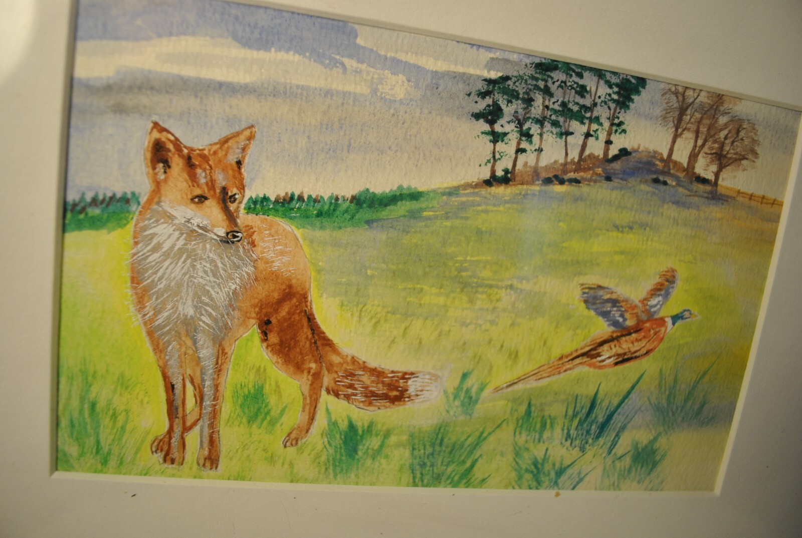 Bild 5 von 5