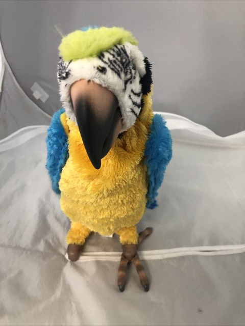 hasbro furreal parrot