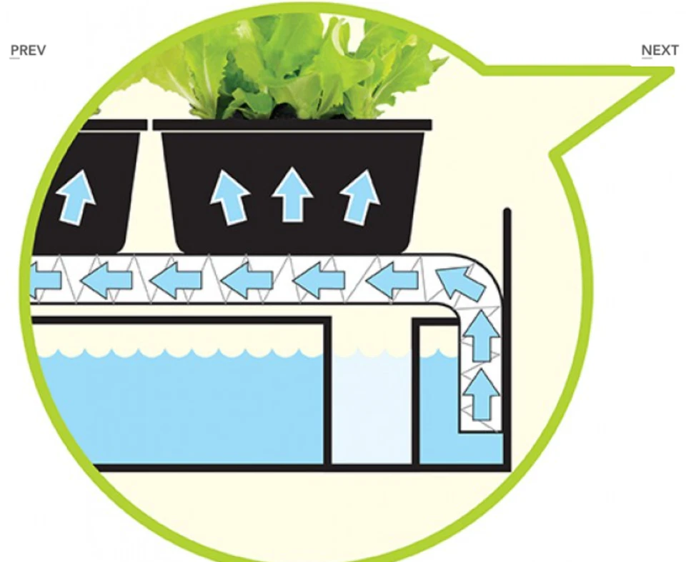 Garland Propagator Micro Grow Light садовый самостоятельный водяной комнатный черный G187 сделано в Великобритании - Изображение 3 из 3