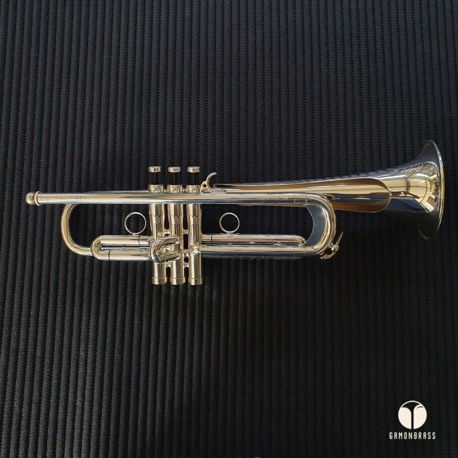 NOS Courtois Paris Evolution III trumpet case mouthpiece