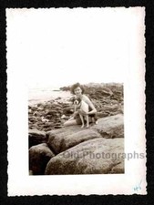 1945 BIG DOG w/WOMAN ROCKY SHORE OLD/VINTAGE PHOTO- N472