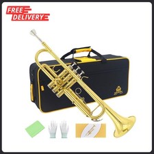 Bb Standard Trumpet Set,Band Orchestra Musical Instruments for Beginners or...