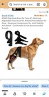 KISAO Dog Knee Brace for Torn ACL Hind Leg Adjustable Support Arthritis Pain... — photo 1