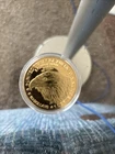 US Mint American Eagle 2025 1 oz Gold Coin .9167 Fineness Uncertified