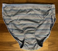 Vtg Victoria Secret Panties High Leg Brief L Stripe Nylon Shimmer RARE