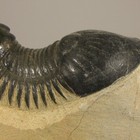Bild 6 von 10