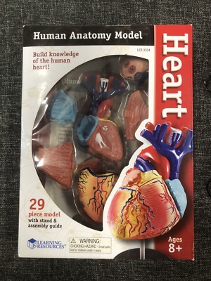 Learning Resources Human Anatomy Model Heart LER 3334 Homeschool Nursing New