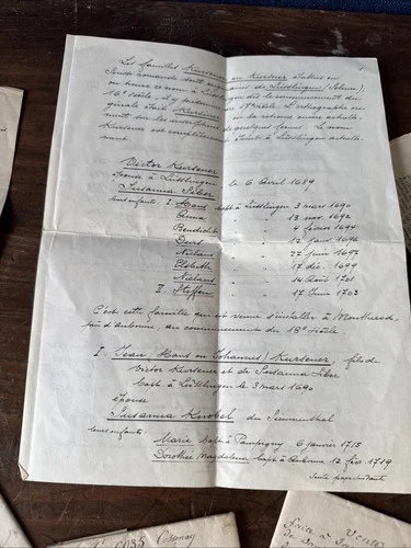 Document 19eme Frédéric Kursner Héraut De Genève Généalogie Passeport Suisse - Foto 6 di 23