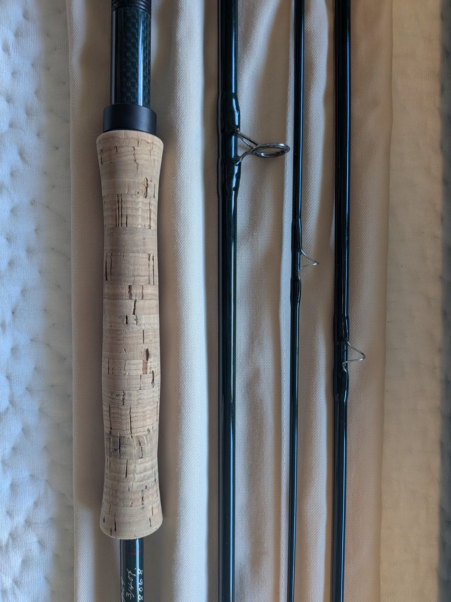 R L Winston Boron II X Fly Rod 9 wt. 9' 4 pc. | eBay
