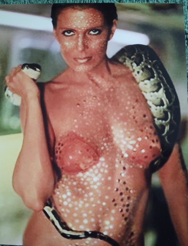 Joanna Cassidy 8x10 Color Photograph Blade Runner Sexy Actress