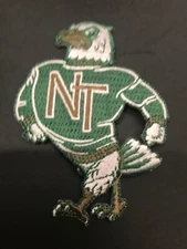 North Texas University Eagles Mean Green Vintage  Embroidered Iron On Patch 3.5”