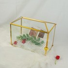 Bild 9 von 9