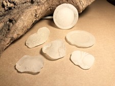 Genuine Atlantic Ocean Sea Glass White Pieces and a Frosty Bottle Bottom 64