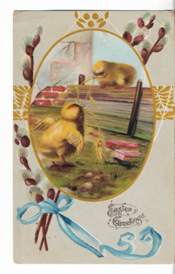 VTG Easter Postcard - Easter Greetings - Two Baby Yellow Chicks 1910