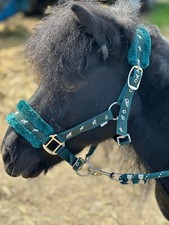 NEU PFERDEDRUCK PELZ KOPFHALSBAND BLEISEIL SET 13 FARBEN VOLL - MINI SHETTY