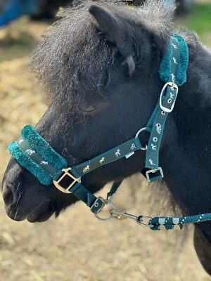 EQUIPRIDE NEU PFERDEDRUCK PELZ KOPFHALSBAND BLEISEIL SET 13 FARBEN VOLL - MINI SHETTY