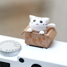Camera Hot Shoe Cover Cute Cat in Box Decoration for Fuji Canon Sony Leica Nikon