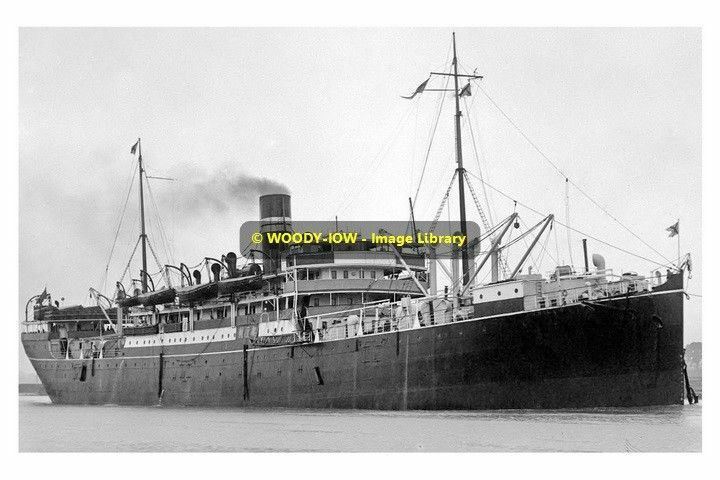 rp09956 - British India Steam Nav Cargo Ship - Torilla, gebaut 1911 - Druck 6x4