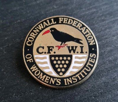 VINTAGE CORNWALL FEDERATION OF WOMENS WI INSTITUTE EMAILLE ANSTECKNADEL ABZEICHEN