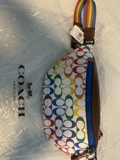 Coach White Rainbow Beltbag