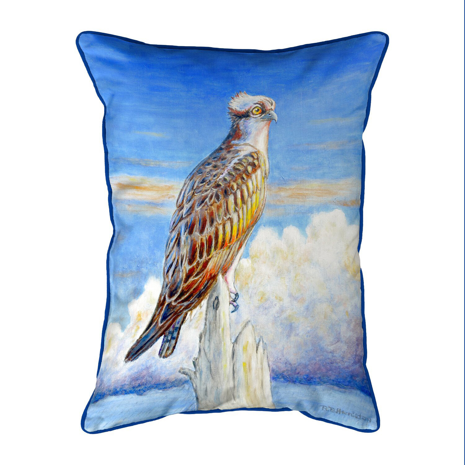 Almohada Betsy Drake Osprey Storm extra grande con cremallera interior exterior 20x24
