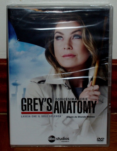 Anatomia De Grey Temporada 12 Resumen