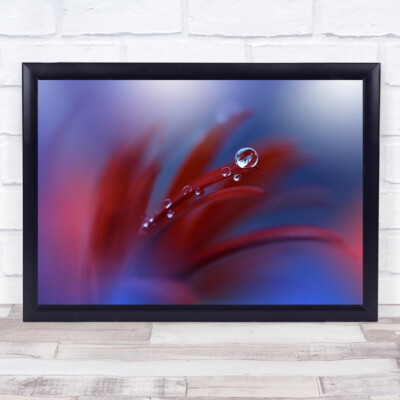 Seltsame Gefühle Nahaufnahme Tropfen Wasser Blume Reflexion rot weich Bokeh Kunstdruck