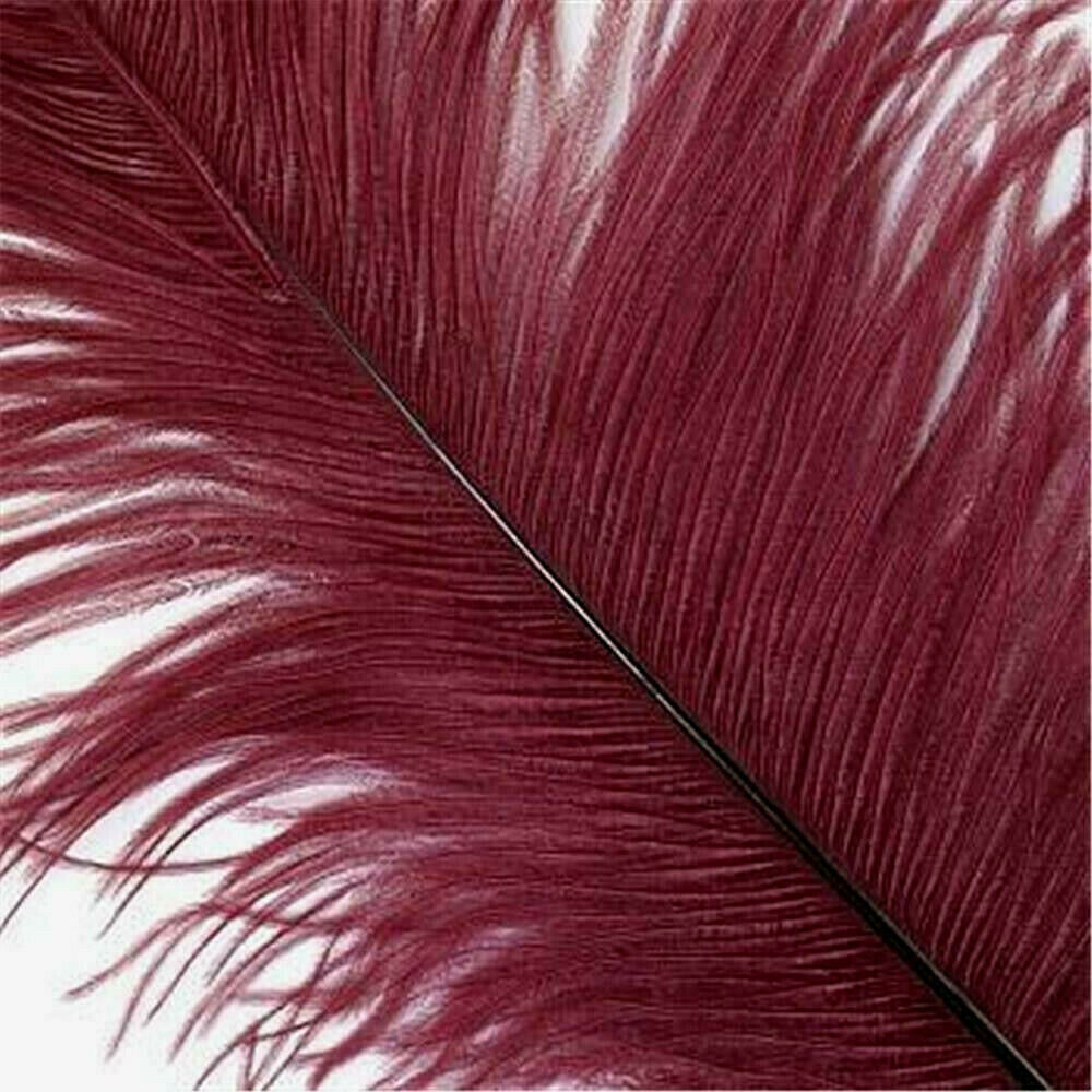12 Max 67% OFF Pack Select Beautiful Burgundy Ostrich - San Francisco Mall Feathers US Drab 13