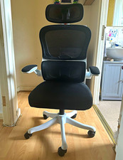 Ergonomic High Back Office Chair w/ Headrest, Lumbar, Swivel, Wheels Black