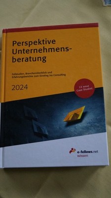 Perspektive Unternehmensberatung 2024