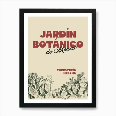 Jardin Botanico de Mexico Cactus Po Framed Wall Art Poster Canvas Print Picture