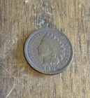 1904 Indian Head Cent- Lot # 46