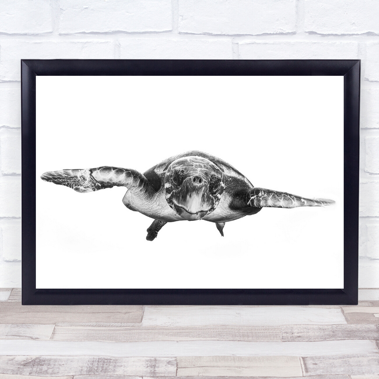 Turtle Underwater Ocean Sea Hawksbill High Key High-Key Black & White Print