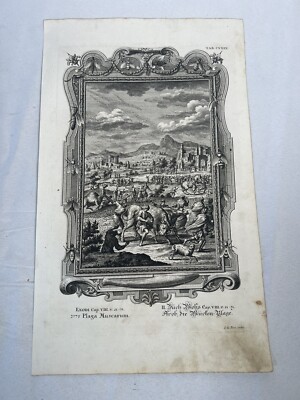 Antique Print Johann Scheuchzer 1731 TAB CXXIX Plaga Muscarum Original Copper