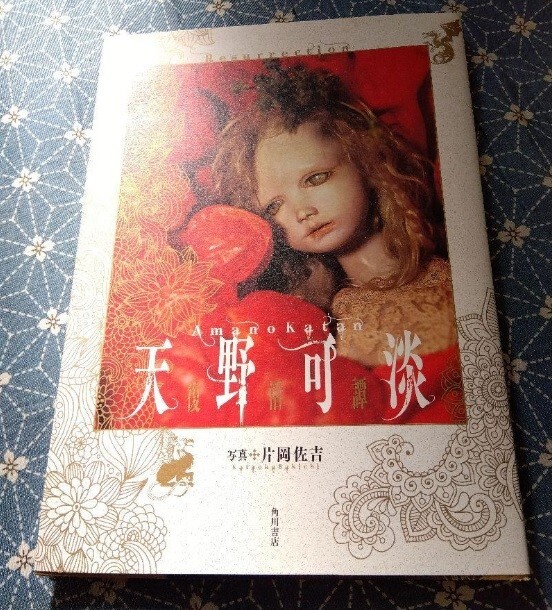 天野可淡復活譚 = Amano Katan Resurrection サイン入り Katan Amano Resurrection Artworks Photobook Japan Gothic BJD Ball