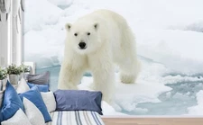 3D White Polar Bear K051 Animal Wallpaper Mural Self-adhesive Removable Kay