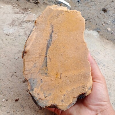 1387 gr Indonesia Sumatra white / Brown Amber  Rough Raw Stone 22