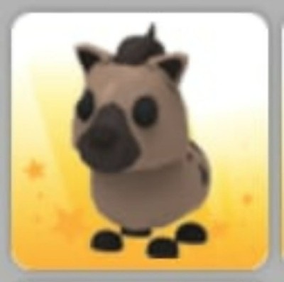 Hyena | Adopt Now