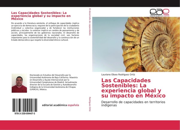Las Capacidades Sostenibles: La Experiencia Global Y Su Impacto En MéXico Lauria-image