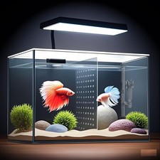 3 Gal 12.6"L Fish Glass Aquarium Kit Multi-Functional Square Fish Tank w/Filter