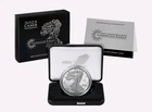 2025 Laser Engraved American Eagle One Ounce Silver Proof Coin