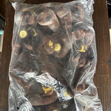 LOT Of (6) 2000 Sacagawea Mint $1 Golden Dollar Bear Plush Lewis & Clark 10” NEW