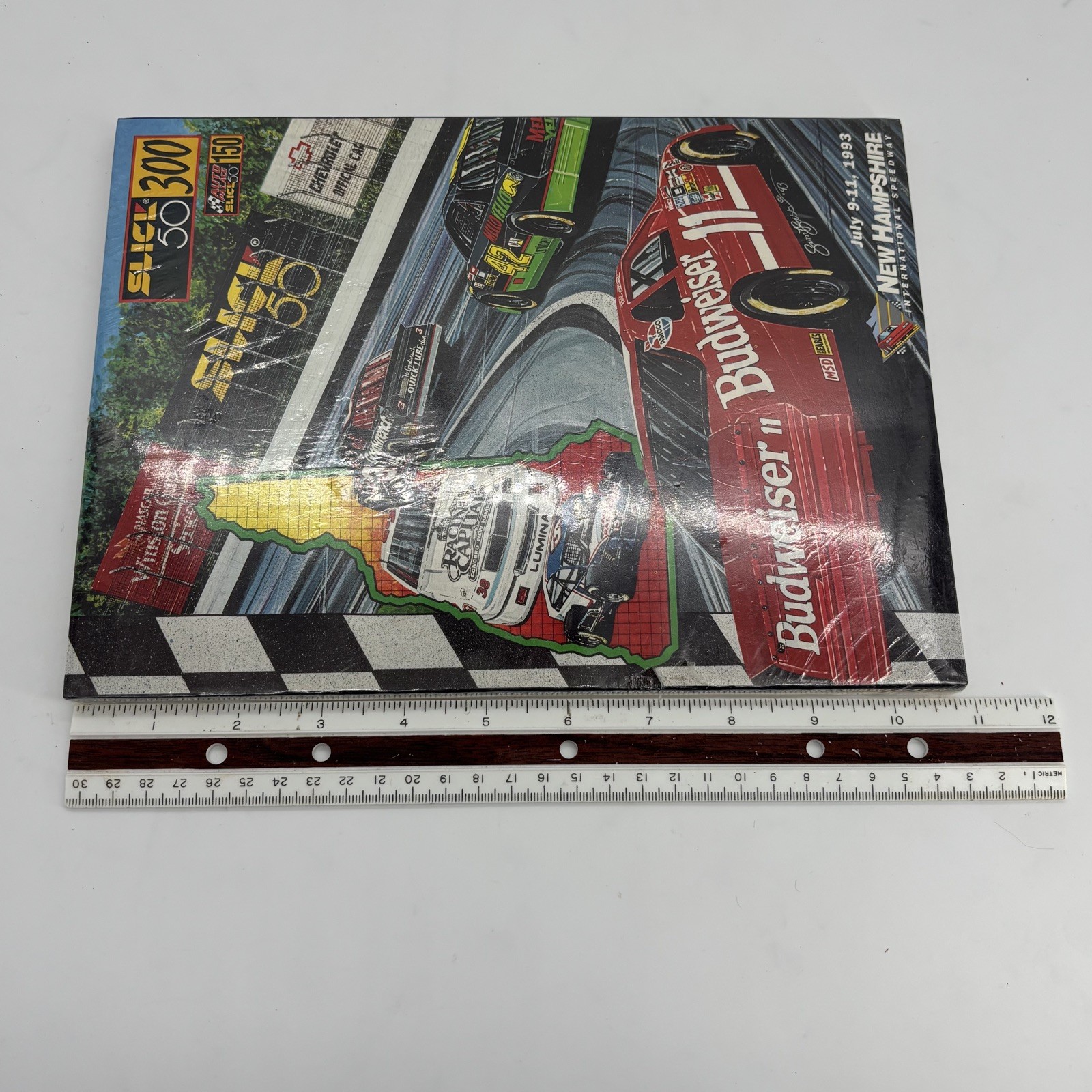 1993 Slick 50 New Hampshire International Speedway NASCAR Program Dale Bill Kyle