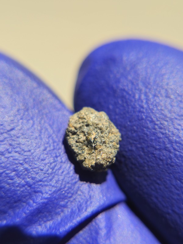 NWA 12564 Martian Meteorite 0.152g Mini Individual Rare Shergottite COA