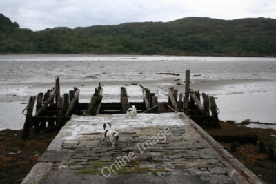 Photo 6x4 Going, going, soon to be gone........... Kinlochmoidart/Ceann  c2011