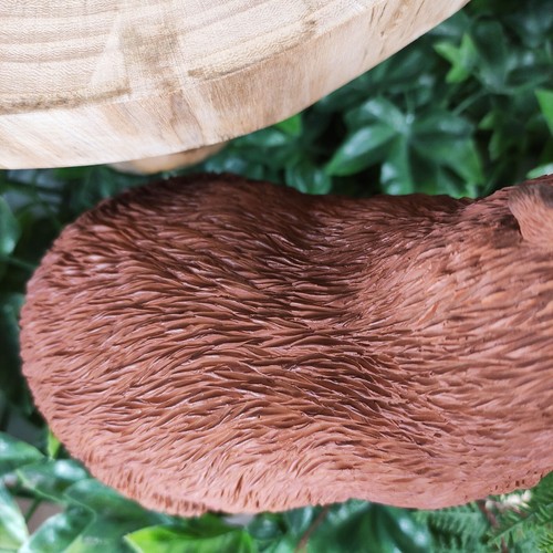 Vivid Arts - Capybara Animal Ornament - Afbeelding 9 van 9
