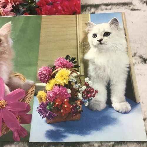 Vintage Stamford Pets Postcards Lot Of 5 Cute Kitty Cats Puppy Dogs Collectible  - Picture 4 of 7