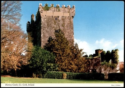 Blarney Castle Co. Cork Ireland John Hinde Original Postcard Unposted
