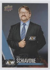 2021 Upper Deck AEW All Elite Wrestling Crew Tony Schiavone #79 0h81
