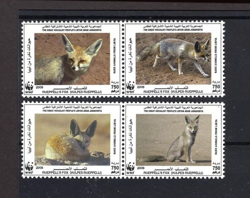 M28629 Libya 2018 Rueppells Fox X4 UMM